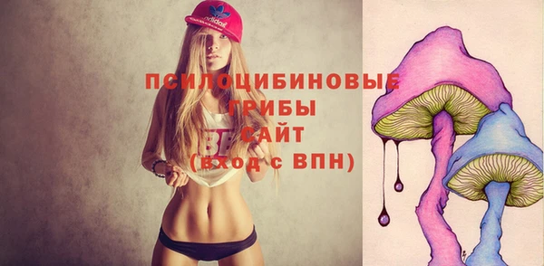 a pvp Абдулино