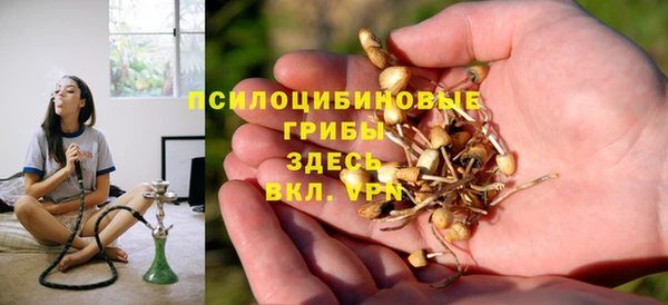 a pvp Абдулино