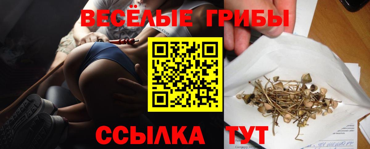 Галлюциногенные грибы прущие грибы  Вход с VPN  сколько стоит  Десногорск 