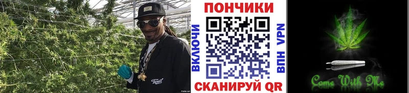 как найти наркотики  Десногорск  МАРИХУАНА сатива 
